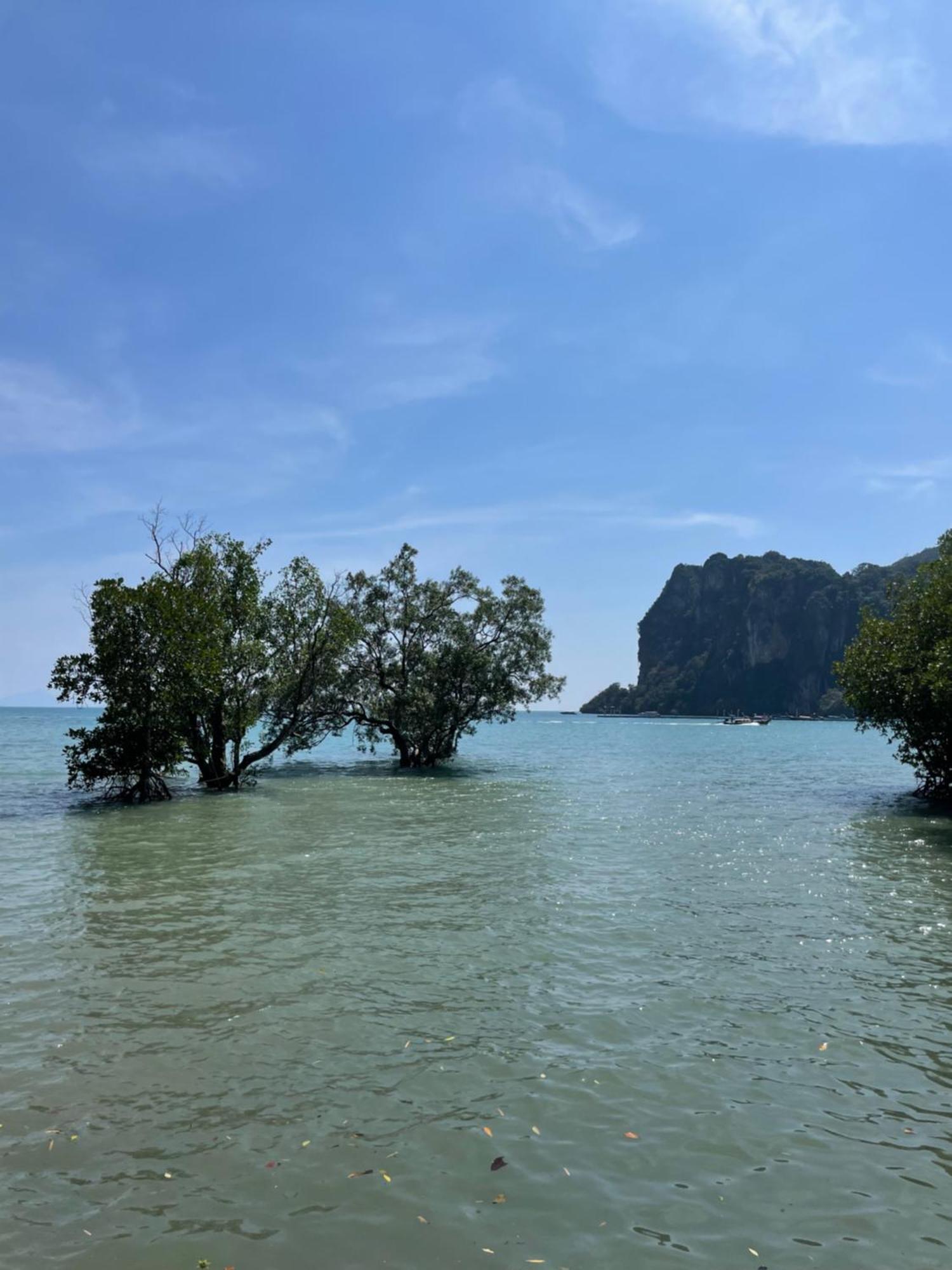 Social Quarters Blanco - Youth Hostel 18 To 35 Only Railay-stranden Eksteriør bilde